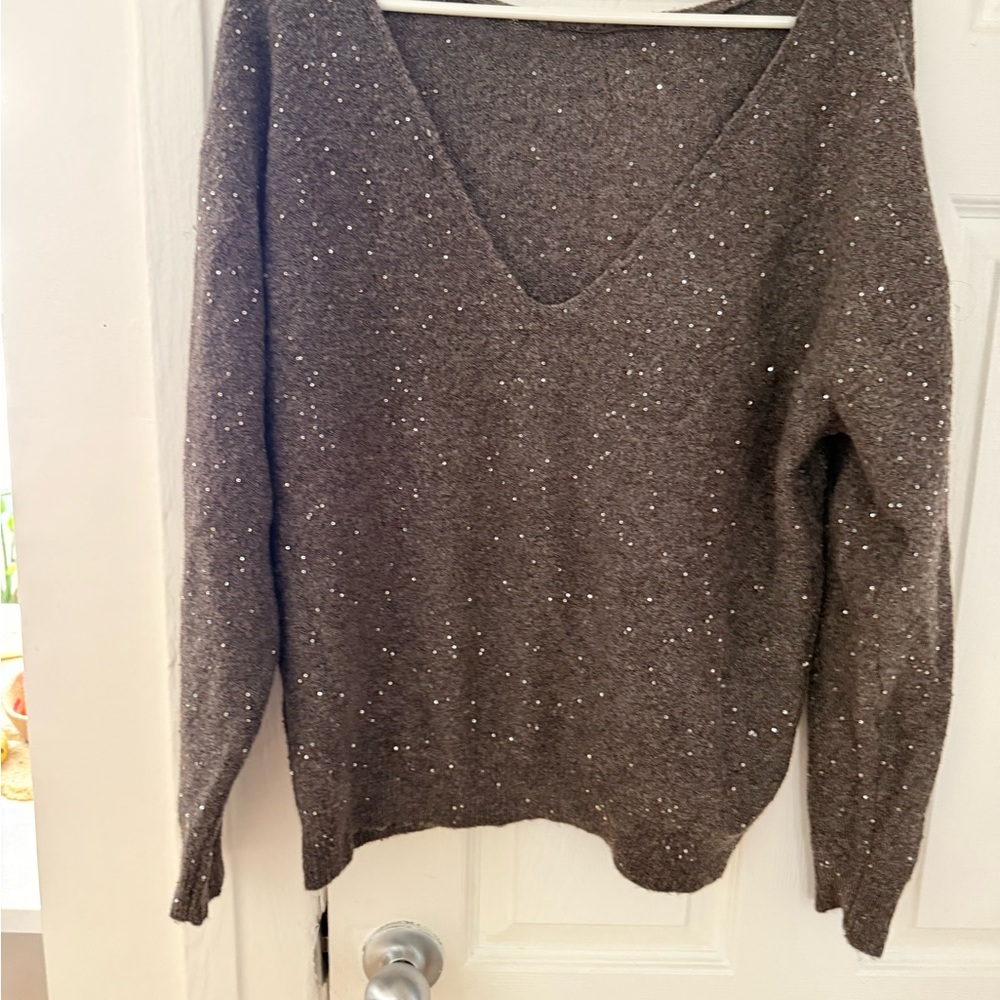 Zara Brown V-Neck back Sequin Knit Sweater